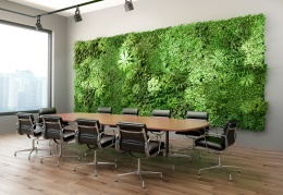 AdobeStock 248887837 kopie