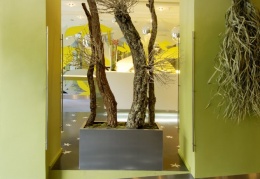 Jasnin Hotel Praha